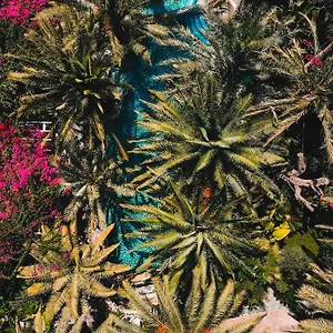 Hotel Flamingo & - Pet Friendly Oludeniz